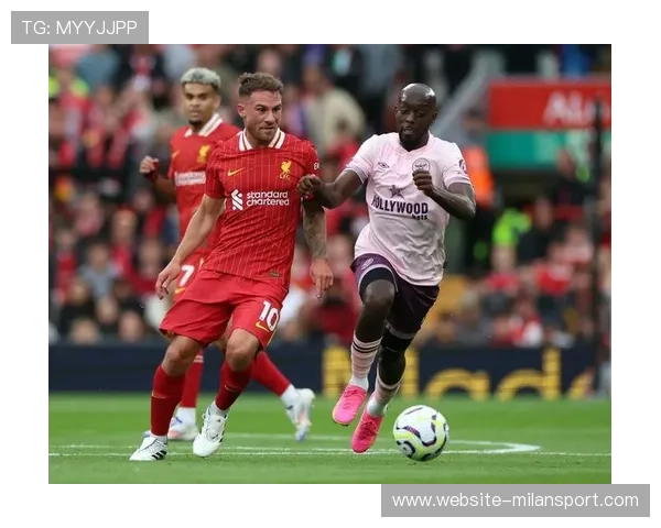 米兰体育旗舰厅下载官网下载安装过程中常见问题及解决方案